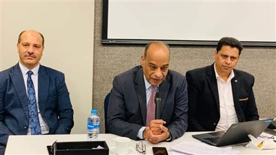  ورشة عمل حول مراعاة النوع الاجتماعي والتنمية المستدامة في التخطيط الاستراتيجي بالإسكندرية