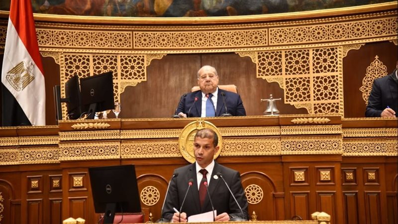 مجلس الشيوخ، فيتو