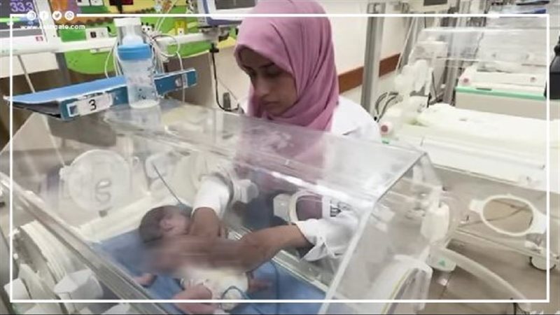 أحدث مولودة في غزة،