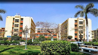 آداب عين شمس تعلن نتائج امتحانات منتصف العام الجامعي 2023-2024