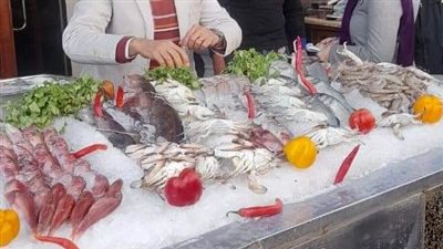 حملة مكبرة في الإسكندرية للتفتيش على المنشآت الصناعية والمحال العامة والصيدليات