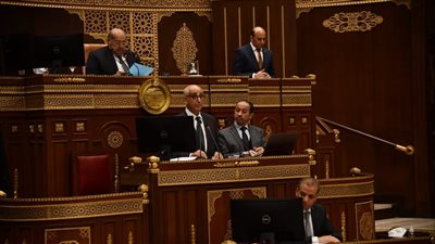 مطالبات برلمانية لوزارة الاتصالات بالتوسع في تدريب الشباب على تكنولوجيا المعلومات 