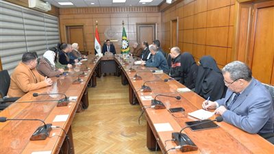 تطوير ورفع كفاءة كورنيش المشاية السفلية على نيل المنصورة 