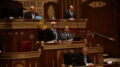 رئيس مجلس الشيوخ يحيل دراسة الألعاب الإلكترونية للحكومة لتنفيذ توصياتها