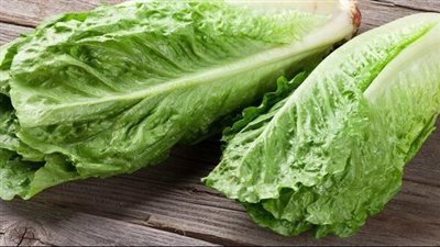 فوائد الخس لصحتك وشباب بشرتك