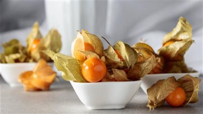 فوائد الحرنكش، يعالج أي ضرر بالشفرة الوراثية بالجسم