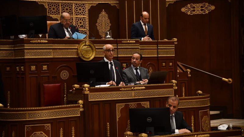 مجلس الشيوخ، فيتو