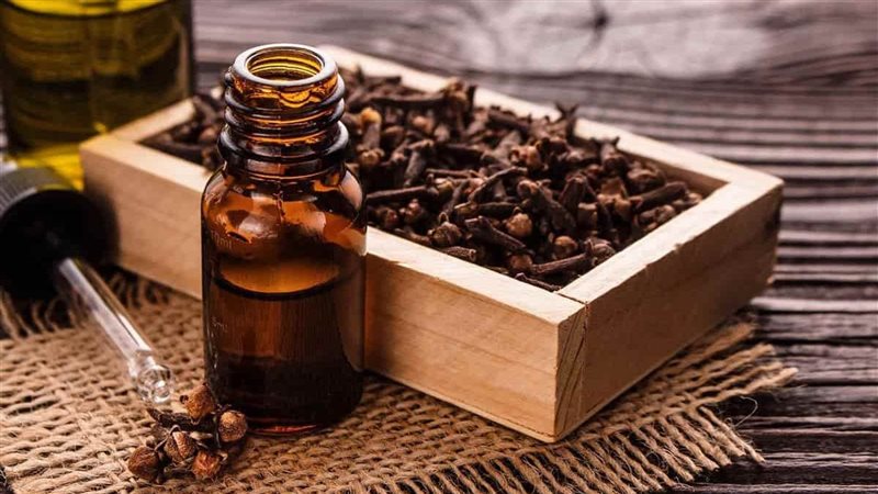 زيت القرنفل وفوائده،