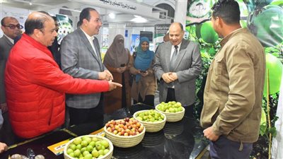 محافظ أسيوط: منتجات معرض وسط الصعيد الزراعي أرخص من مثيلاتها بالخارج (فيديو)