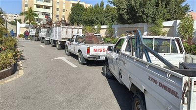 حملة مكبرة لرفع الإشغالات ومواجهة العشوائية بالأسواق بالشروق