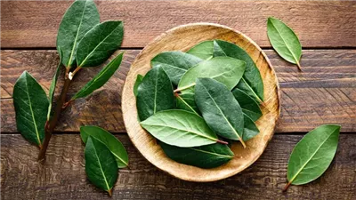 فوائد ورق الغار، يخفف آلام الصداع واضطرابات المعدة ويحمي من السرطان