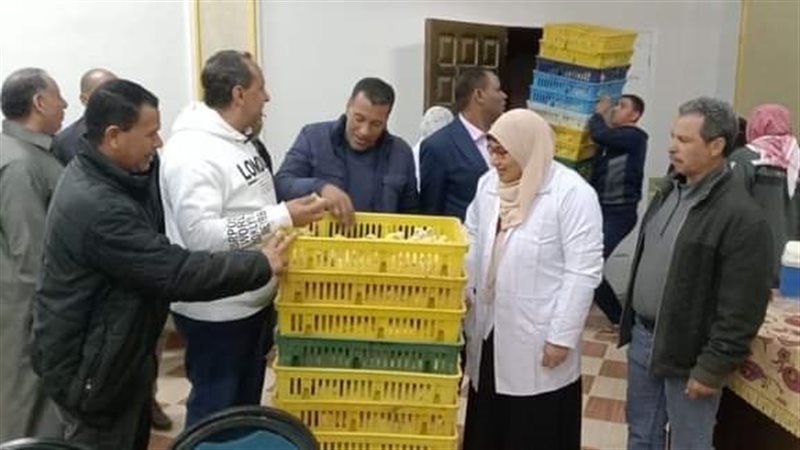 مشروعات صغيرة للأسر
