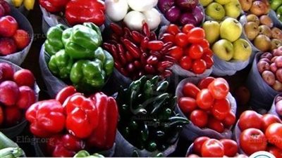 أسعار الخضراوات اليوم الأربعاء 24-1-2024 في المنيا