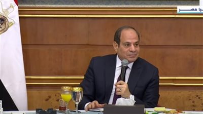 السيسي: يجب حل أزمة الدولار بشكل نهائي وتأثرنا بسبب الأزمات العالمية