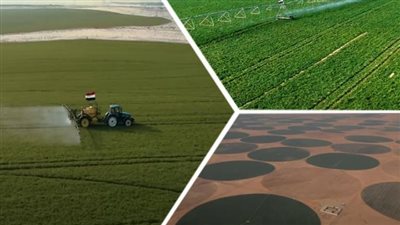  ماذا جرى لمصر فى 100 عام؟.. خطط للاكتفاء الذاتى من المحاصيل لمواجهة الأزمات.. مشروعات زراعية جديدة.. والهدف الوصول إلى 17 مليون فدان