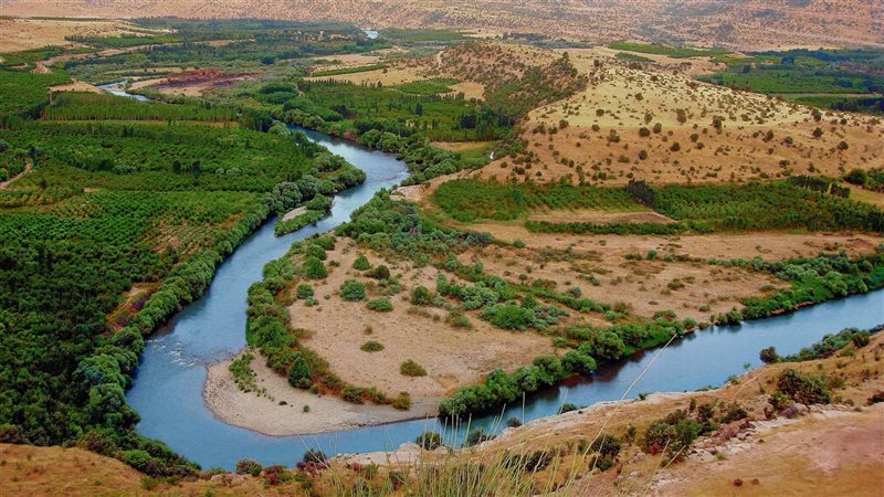 معركة الزاب، فيتو