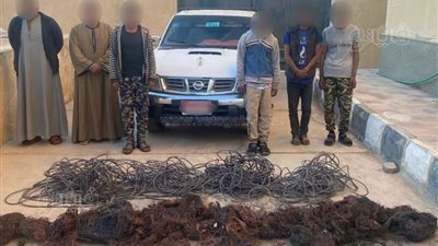 ضبط 4 تشكيلات عصابية لسرقة أبواب المقابر وعدادات المياه والكابلات الكهربائية