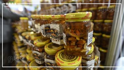 أبرز الدول المستوردة للعسل المصري في 2023 (إنفوجراف)