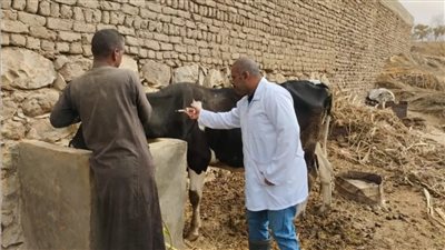 قافلة بيطرية مجانية بقرية كفر الهلاوى بالغربية ضمن مبادرة حياة كريمة