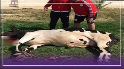 الدليل المتين لتحصين اللاعبين، اتحاد الكرة يستعين بـ 