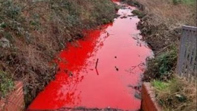 فيلم رعب، نهر الدم يثير الذعر في بريطانيا