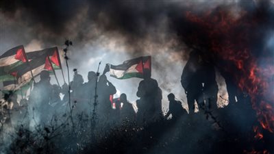 ارتكاب 19 مجزرة في قطاع غزة خلال الـ 24 ساعة الماضية