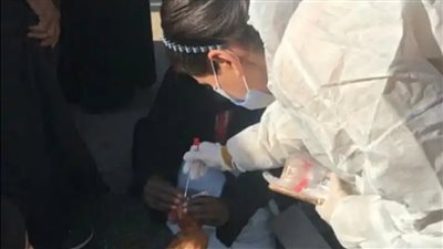 بيطري الأقصر يواجه إنفلونزا الطيور برصد وتقصي نشاط المرض 