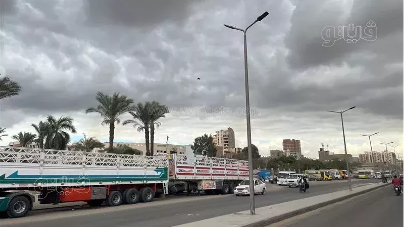 حالة الطقس، فيتو