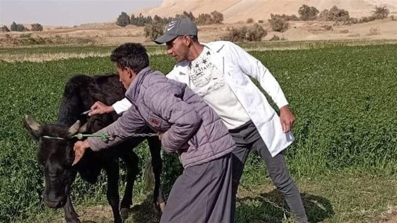 الحملة القومية لتحصين