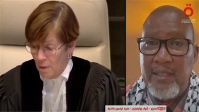 حفيد نيلسون مانديلا عن القضية الفلسطينية: لن نتوقف عند محكمة العدل الدولية (فيديو)