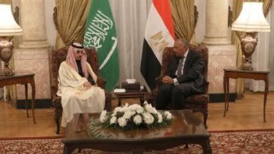 وزير الخارجية يبحث مع نظيره السعودي التطورات الأخيرة في البحر الأحمر واليمن (فيديو)
