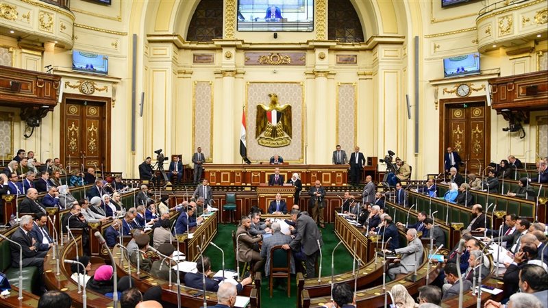مجلس النواب، فيتو