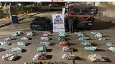 حبس اثنين من العناصر الإجرامية بتهمة حيازة طن حشيش بـ70 مليون جنيه 