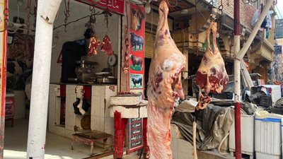 ارتفاع الكندوز 12 جنيها والضاني 19، أخر تحديث لأسعار اللحوم بالأسواق 