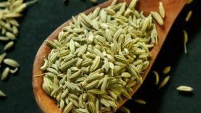 فوائد الشمر، يزيد هرمون الأنوثة ويعالج أعراض سن اليأس ويقاوم الشيخوخة 