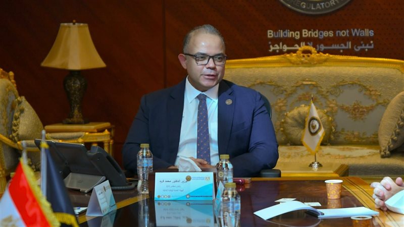 رئيس الرقابة المالية،