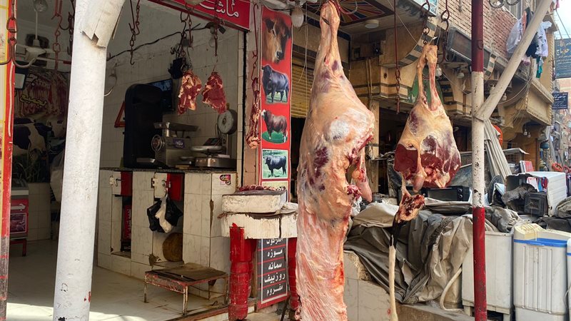 أسعار اللحوم في الأسواق،