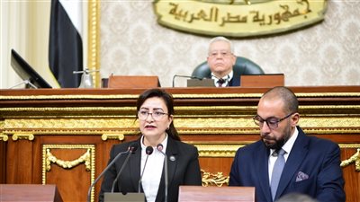 مجلس النواب يوافق نهائيا على تعيين مدير تنفيذي لصندوق 