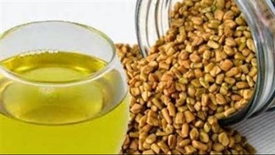  فوائد شرب الحلبة يوميا، تقوي المناعة والعظام وتحمي من أنيميا فقر الدم 