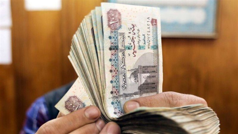 معاشات مارس 2024،فيتو