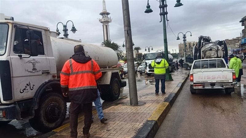 الإسكندرية، فيتو