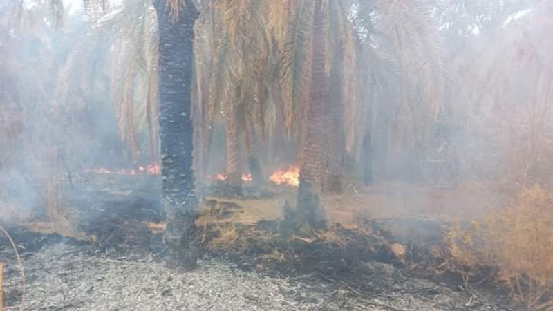 محاضر لحرق مخلفات