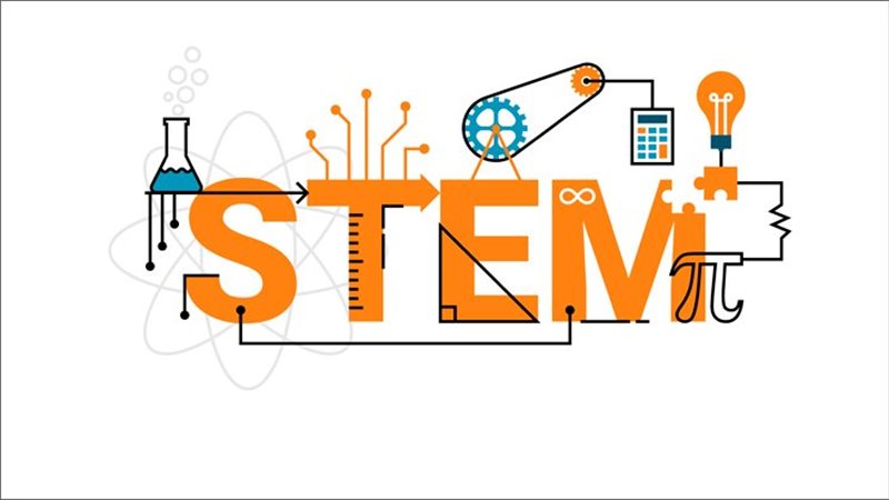 نظام التعليم STEM،فيتو