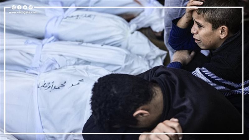 غزة، فيتو