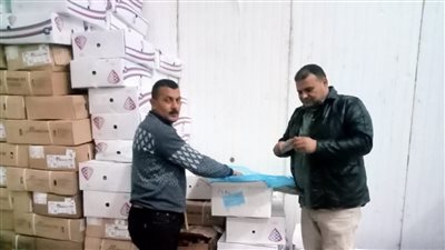 ضبط 5 أطنان أسماك هورس مجمدة غير صالحة للاستهلاك الآدمي بالبحيرة 