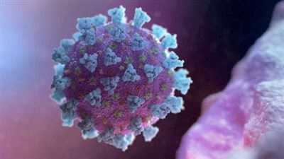 مخاوف من وباء جديد.. زوجان صينيان يسربان فيروسات مختبر كندي