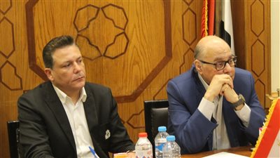 رئيس الغد يصدق على قرار الهيئة العليا بفصل إسماعيل محمد إسماعيل 