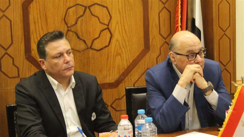 حزب الغد،فيتو 