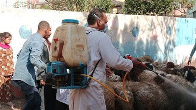 بيطرى الشرقية تنظم قافلة طبية بقرية شلشلمون