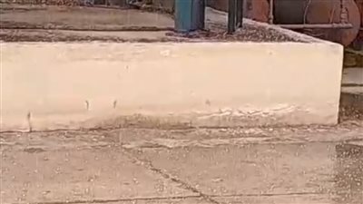 تساقط أمطار ثلجية على عدة مناطق بالإسكندرية (صور)